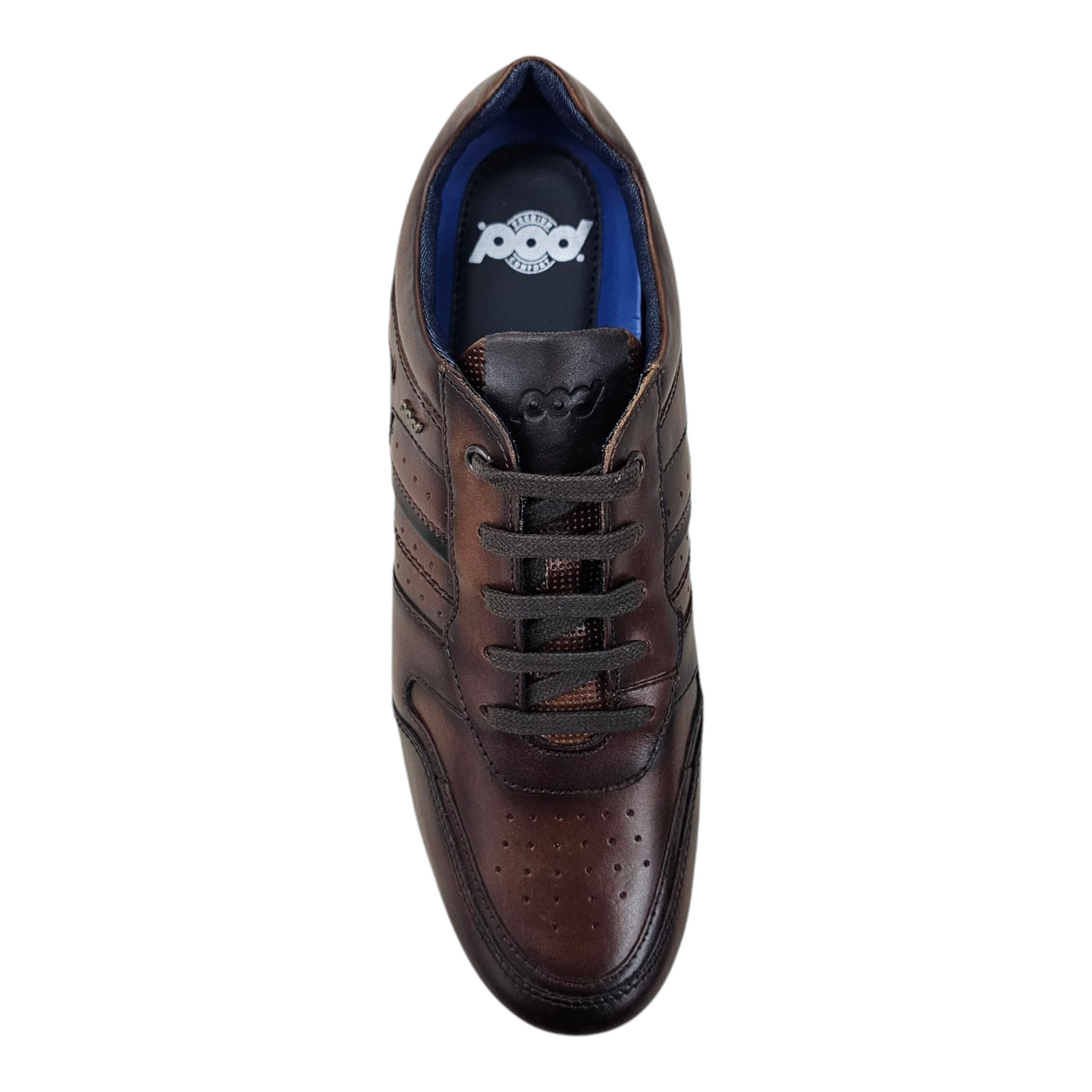 Pod Arrow Brown Leather Trainer