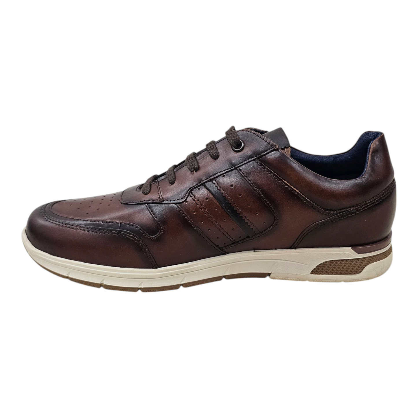 Pod Arrow Brown Leather Trainer