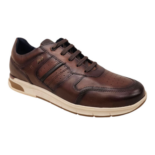 Pod Arrow Brown Leather Trainer