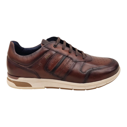 Pod Arrow Brown Leather Trainer