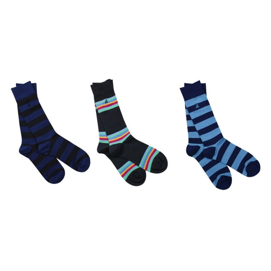 Swole Panda Sock Gift Box - 3 Pairs - Blue Stripe