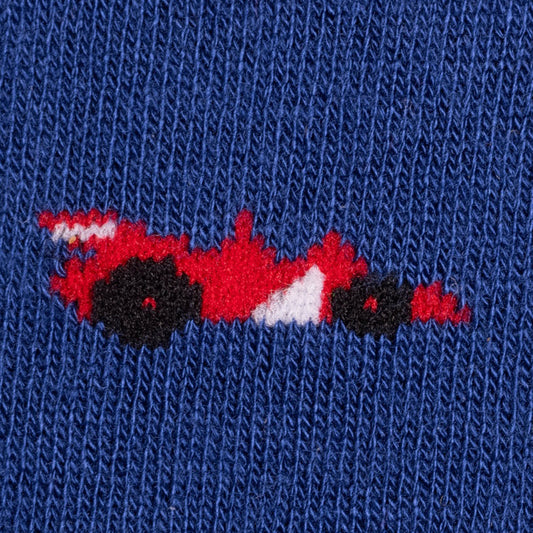 Swole Panda Racing Car Socks