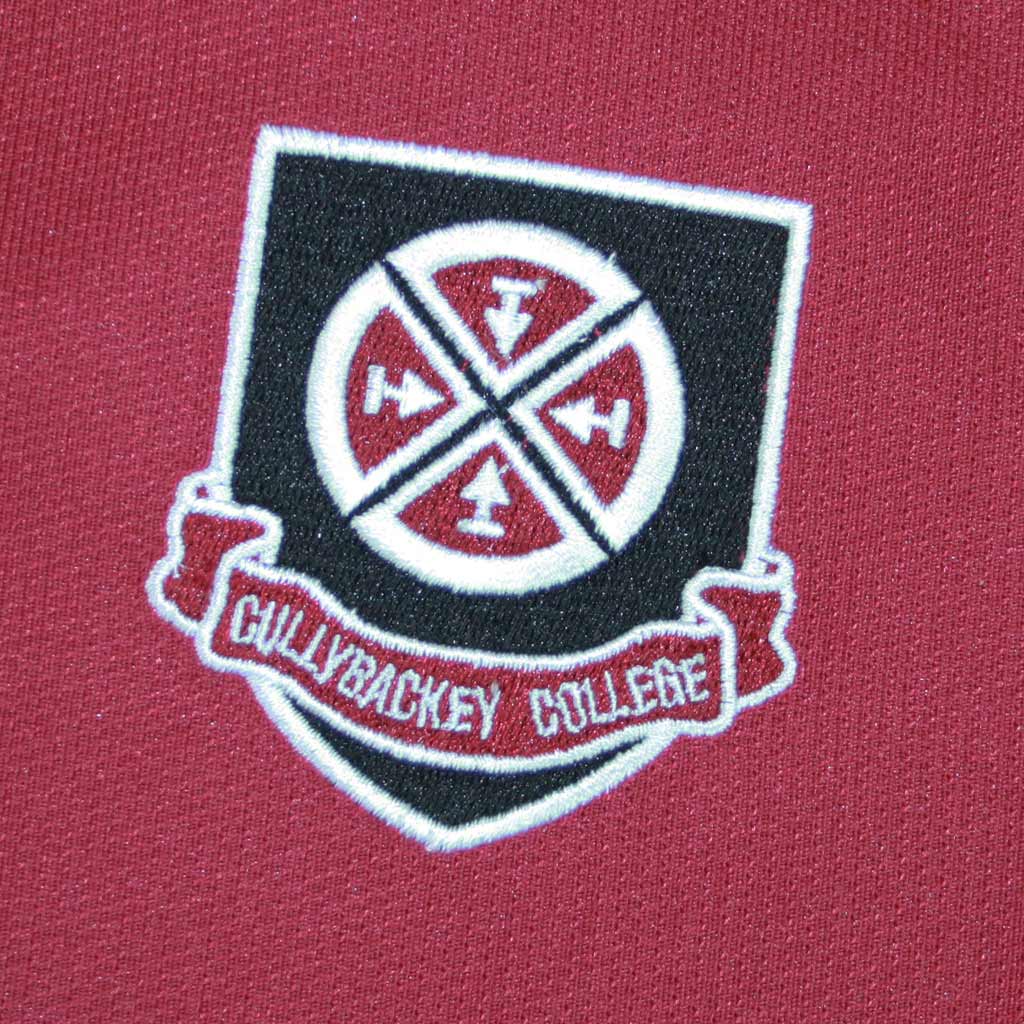 Cullybackey College Boys P.E Top