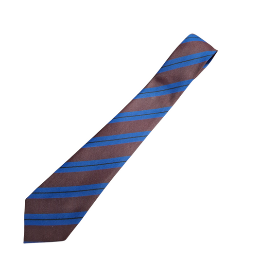 Dalriada School Tie