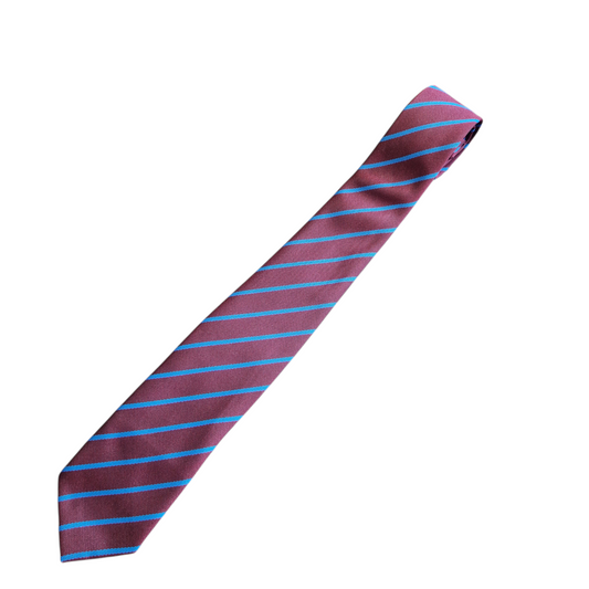Damhead School Tie