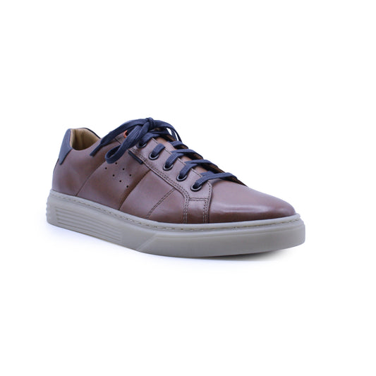 Dubarry Starter Tan Trainers