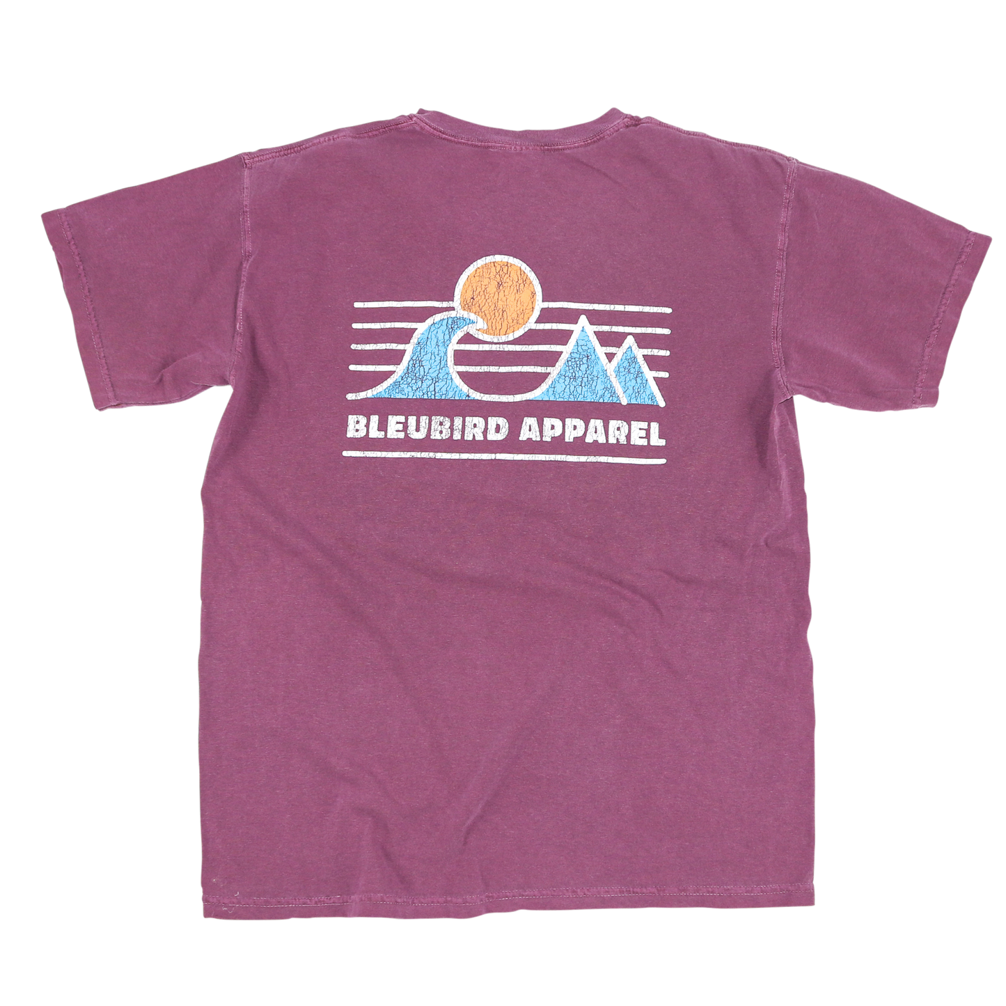 Bleubird Berry Horizon Tee