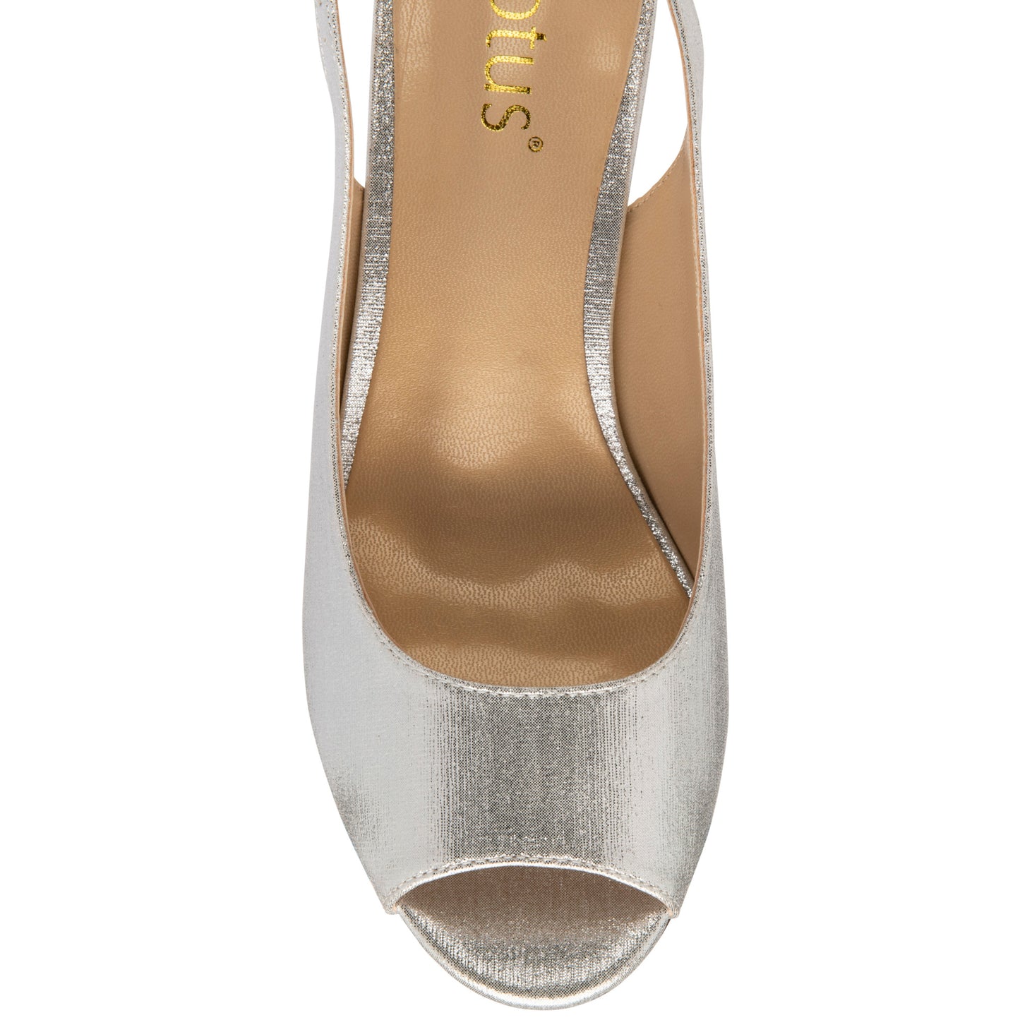 Lotus Evelyn Silver Shoe