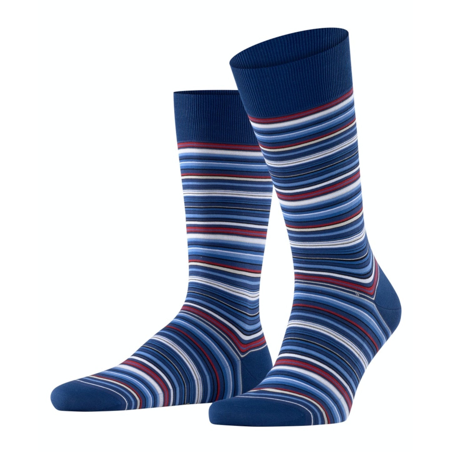 Falke 14041 6000 Microblock Royal Blue Socks