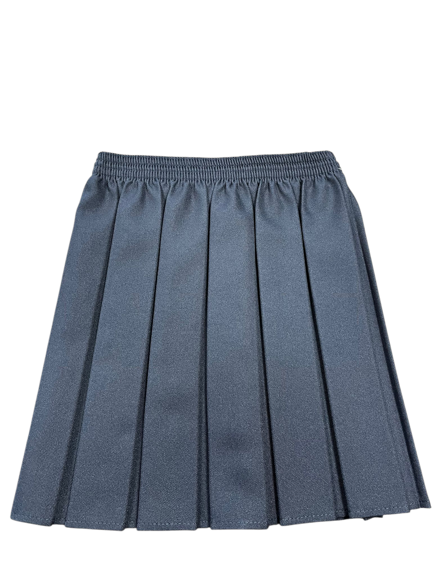 Pleated All Rnd Skirt Navy