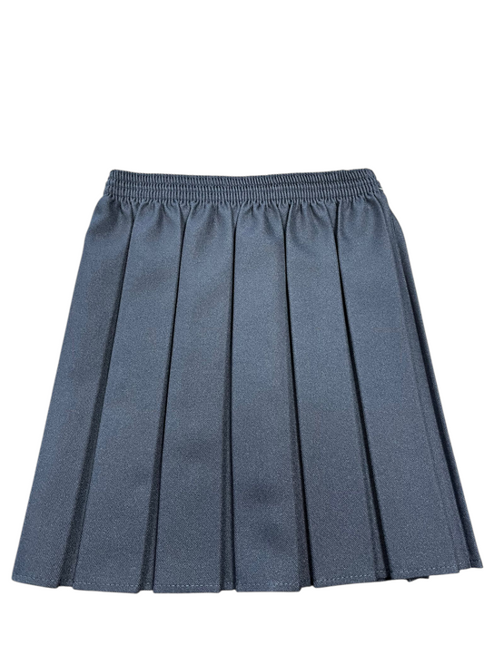 Pleated All Rnd Skirt Navy