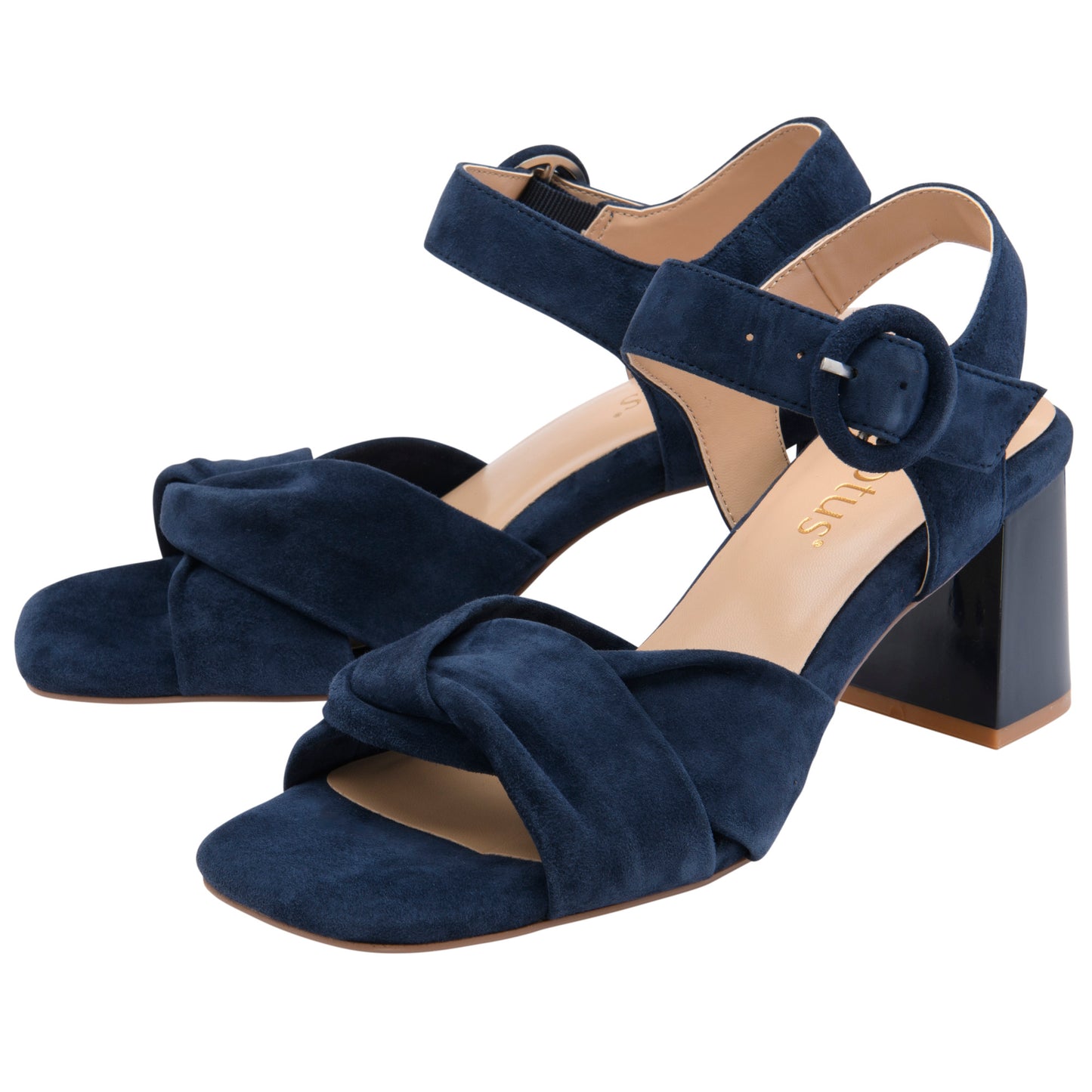 Lotus Maria Navy Suede Shoe