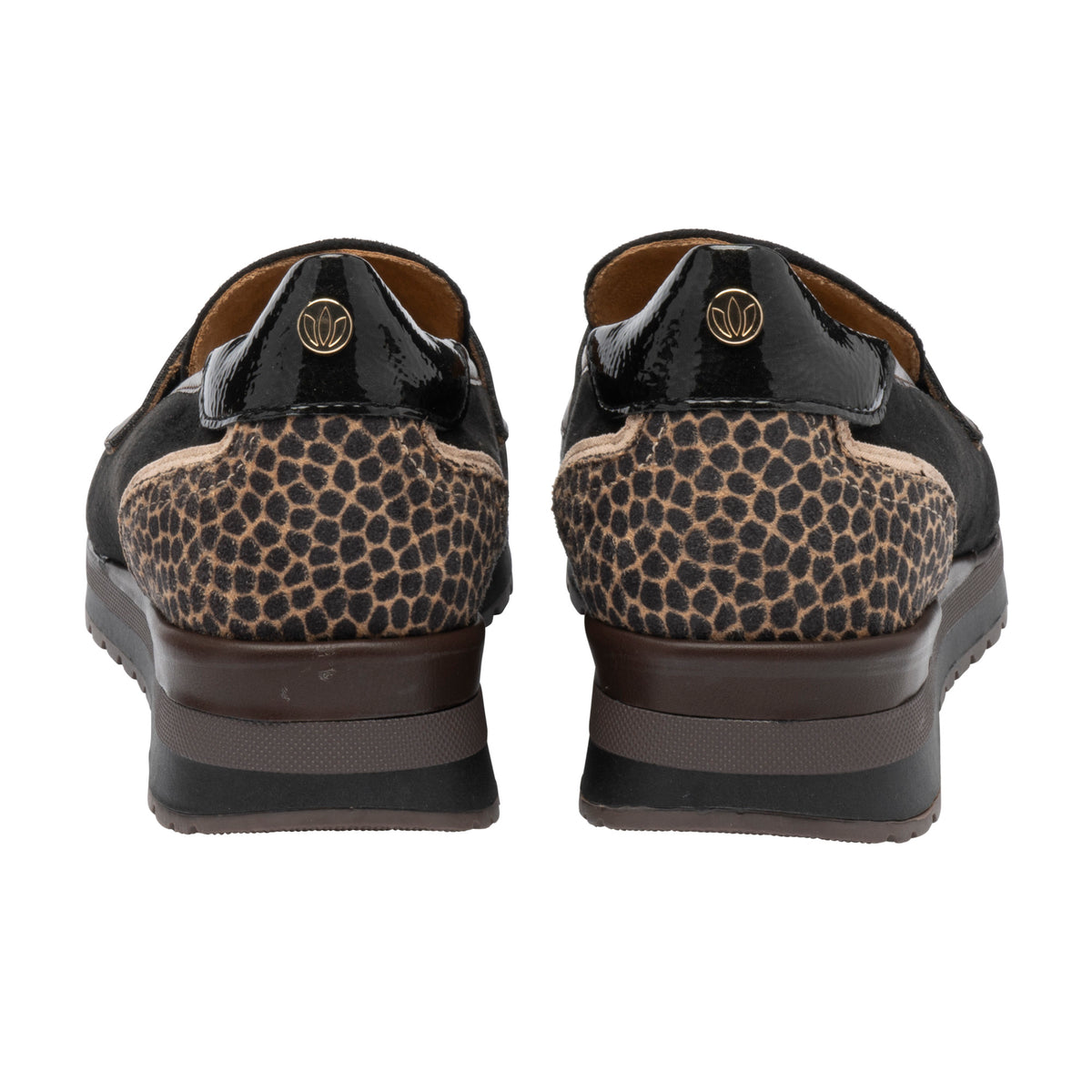 Lotus Montana Black/Brown Shoes