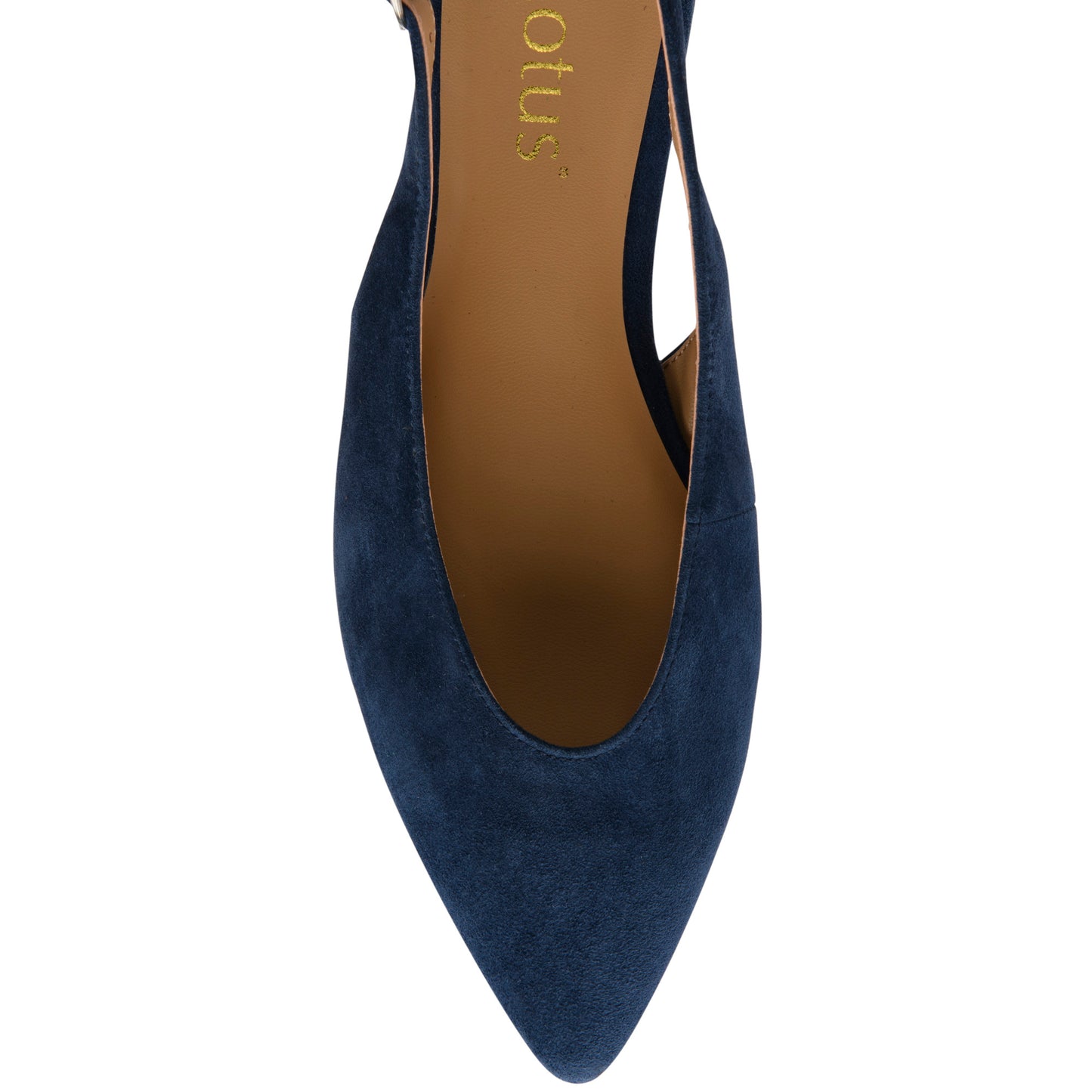 Lotus Morton Navy Suede Shoe
