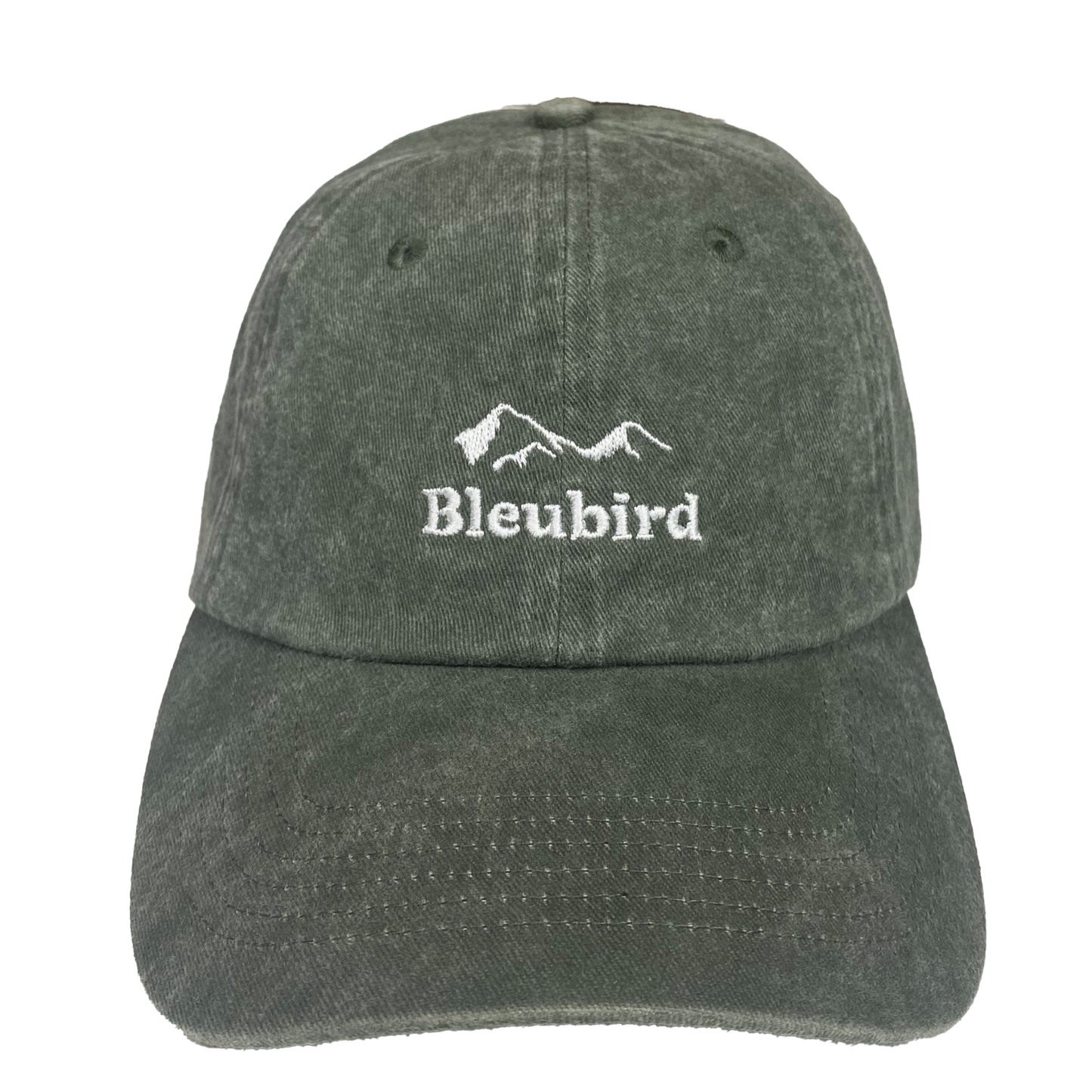 Bleubird Roadie Mountain Cap - Willow