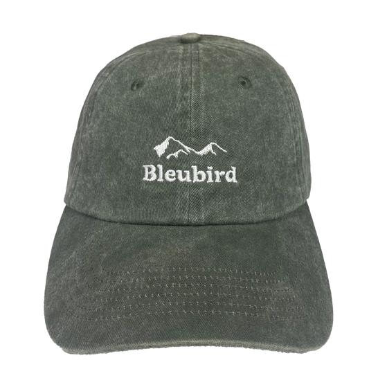 Bleubird Roadie Mountain Cap - Willow