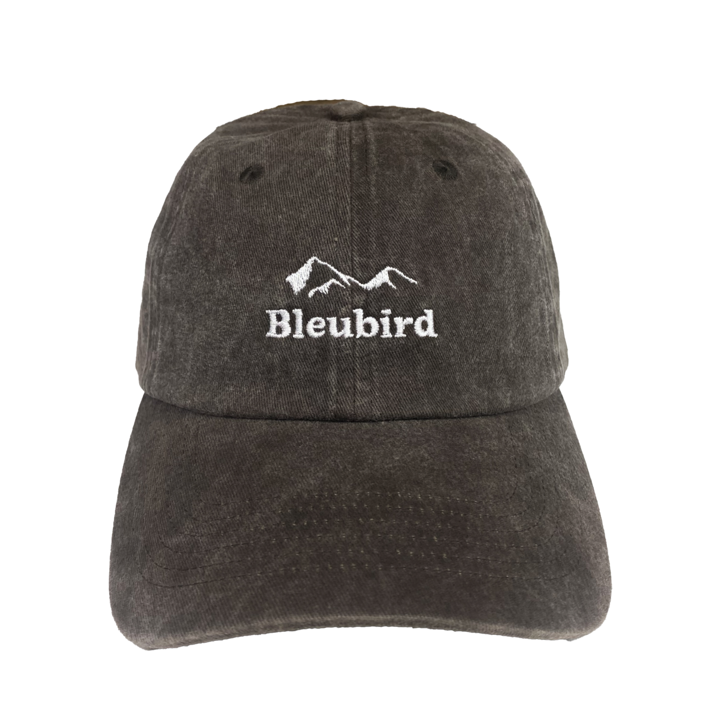 Bleubird Roadie Mountain Cap - Charcoal