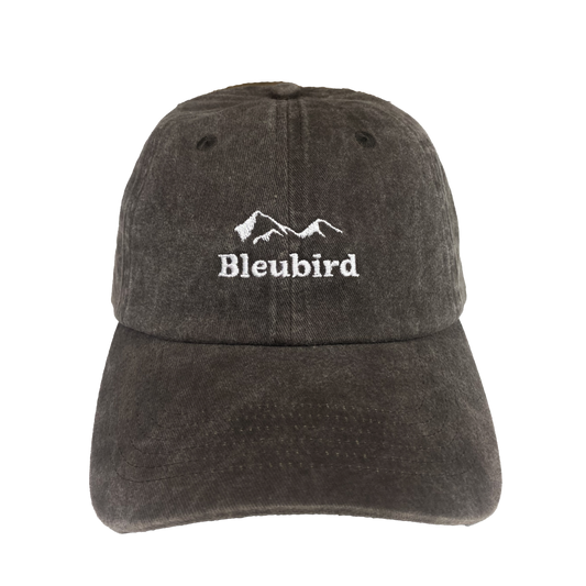 Bleubird Roadie Mountain Cap - Charcoal