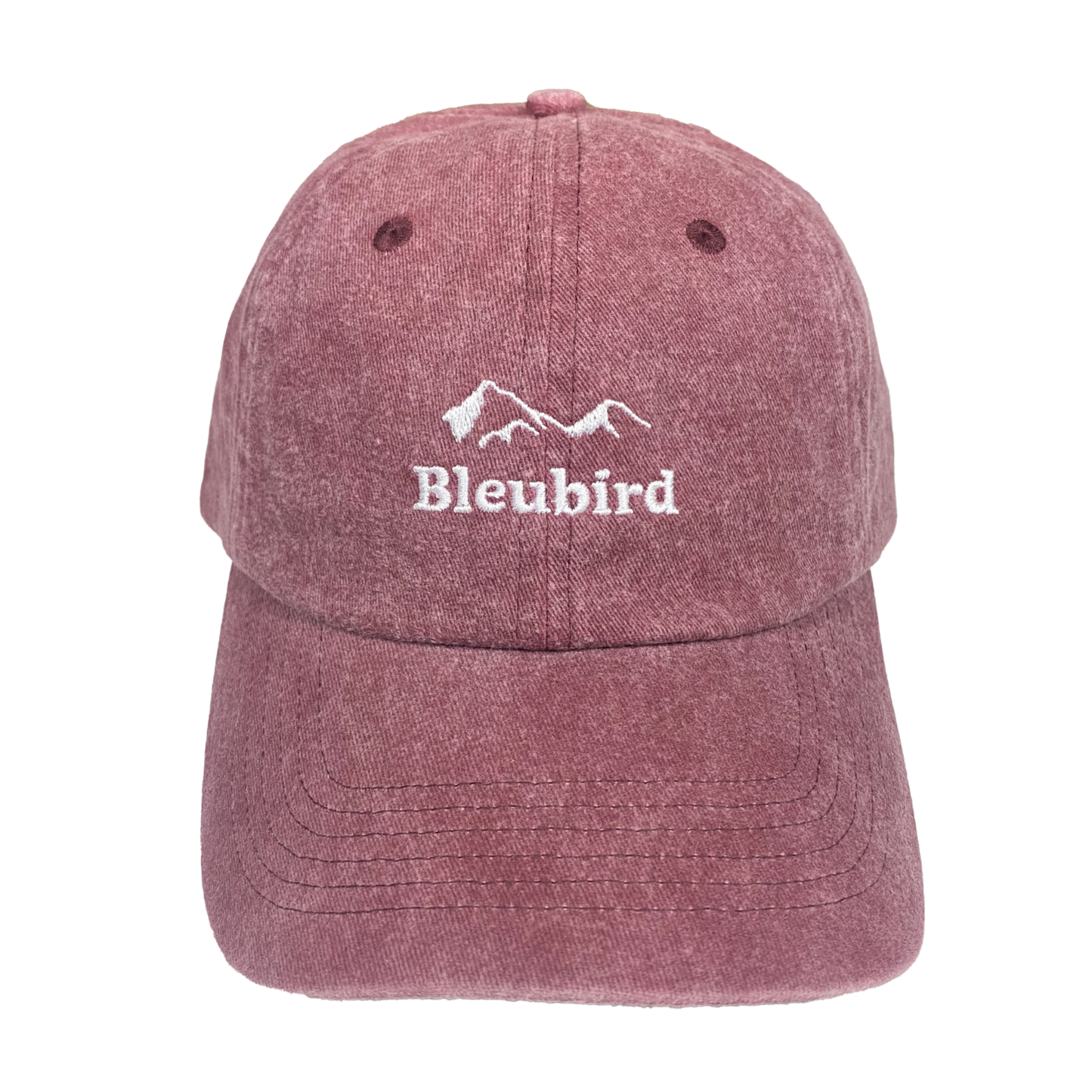 Bleubird Roadie Mountain Cap - Berry