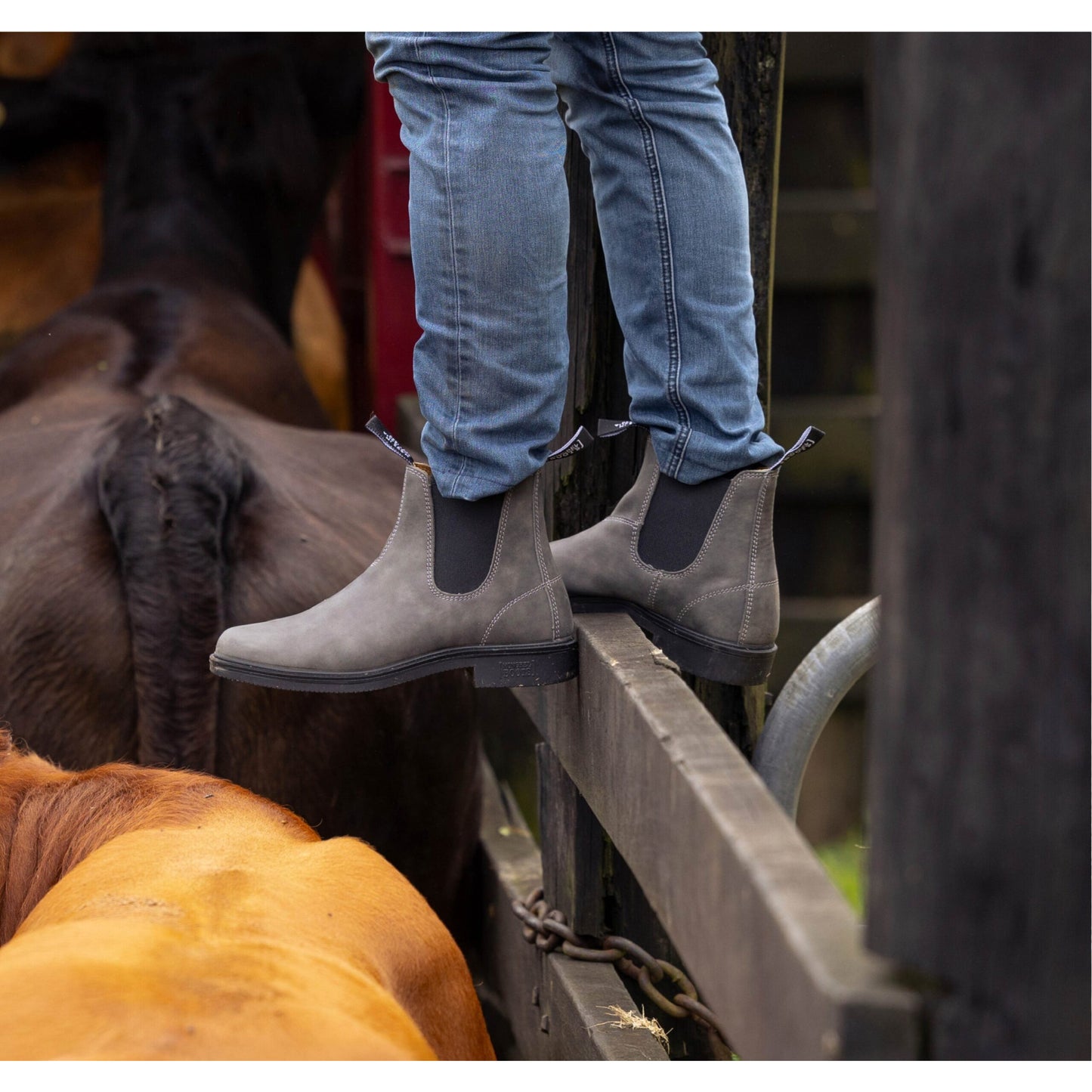 Mongrel K9-2 Cloudy Grey Chisel Toe Boot