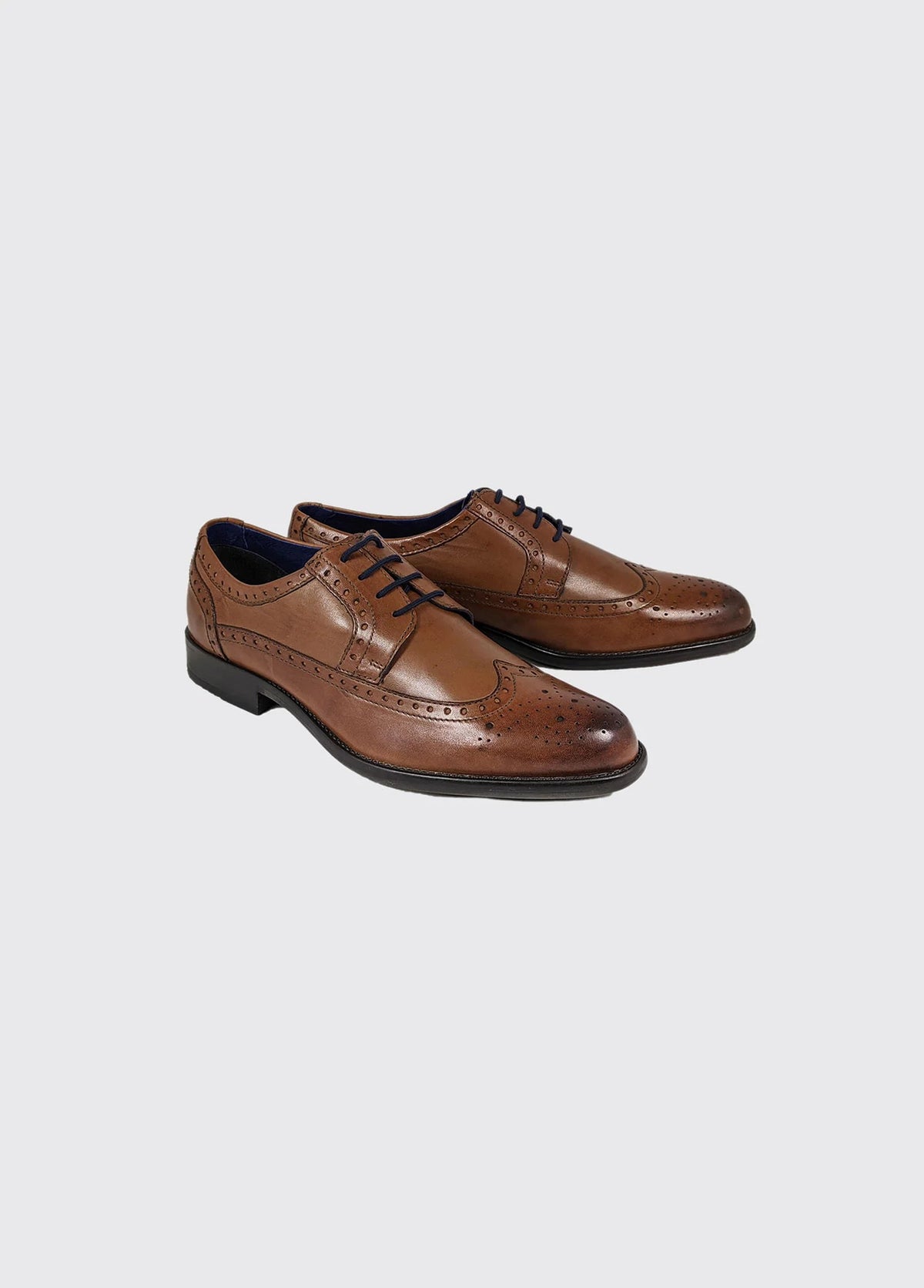 Dubarry Dyson Whiskey Formal Shoes