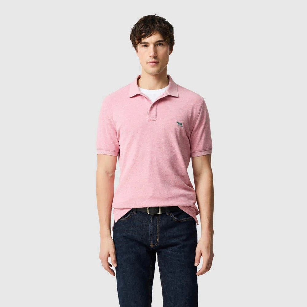 Rodd & Gunn The Gunn Polo Coral
