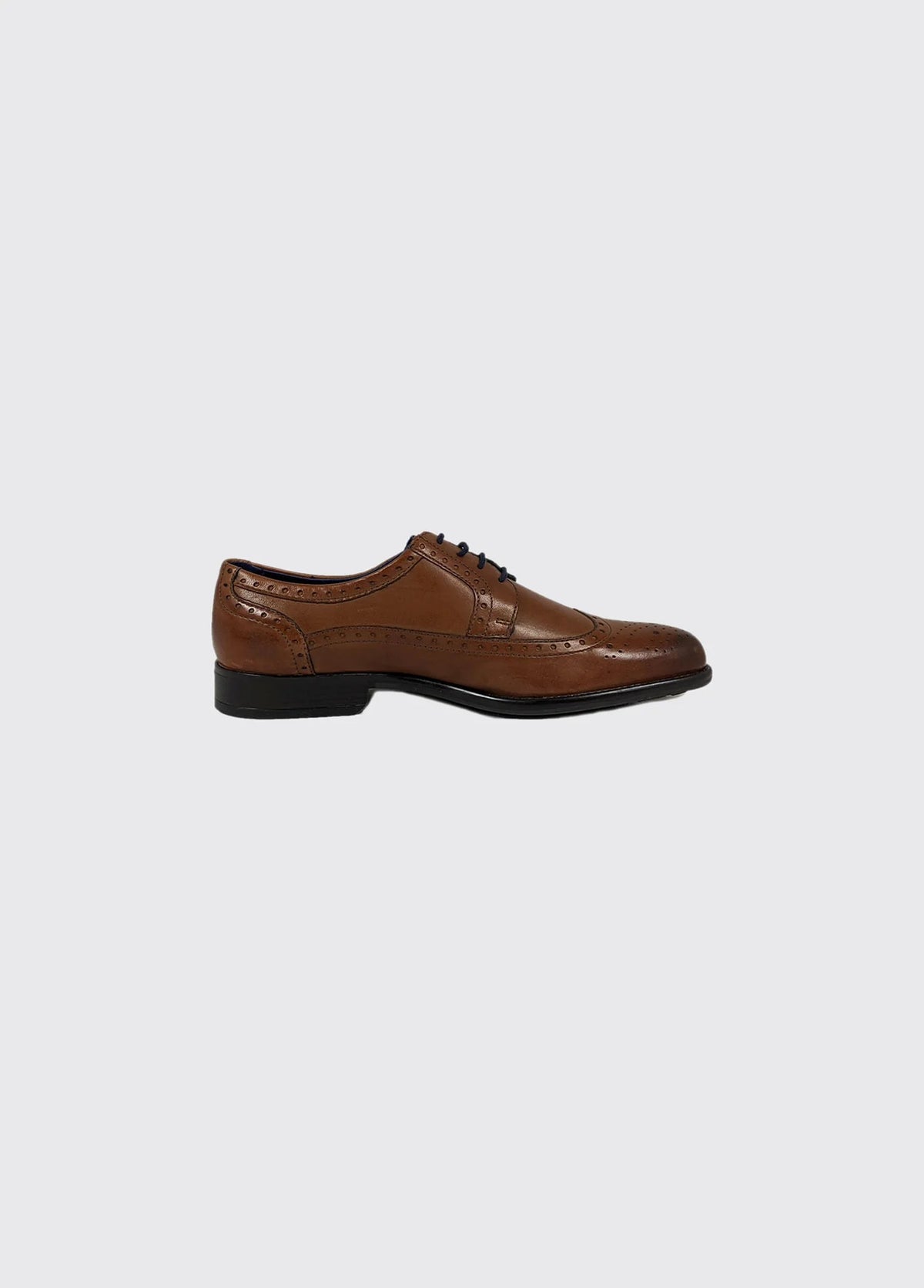 Dubarry Dyson Whiskey Formal Shoes