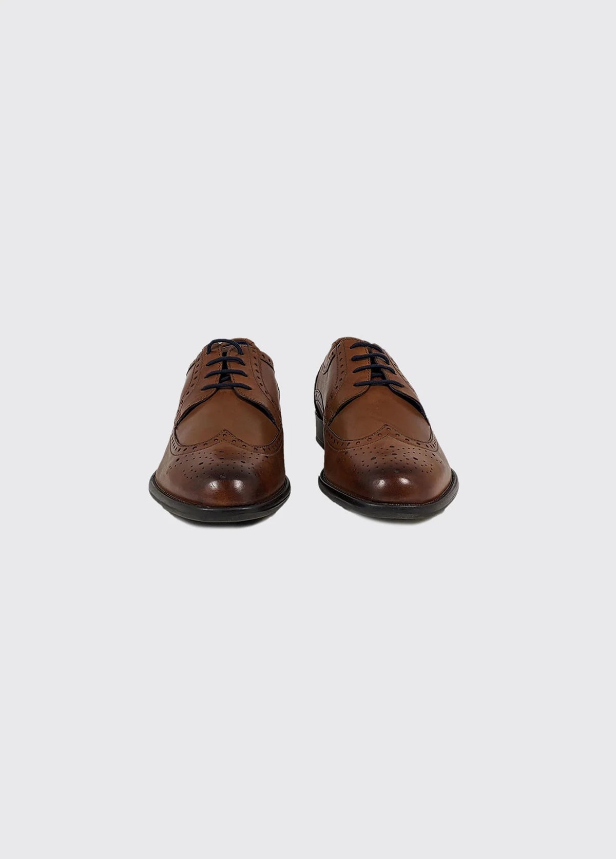 Dubarry Dyson Whiskey Formal Shoes
