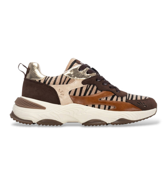 Refresh 176121 Camel Trainers