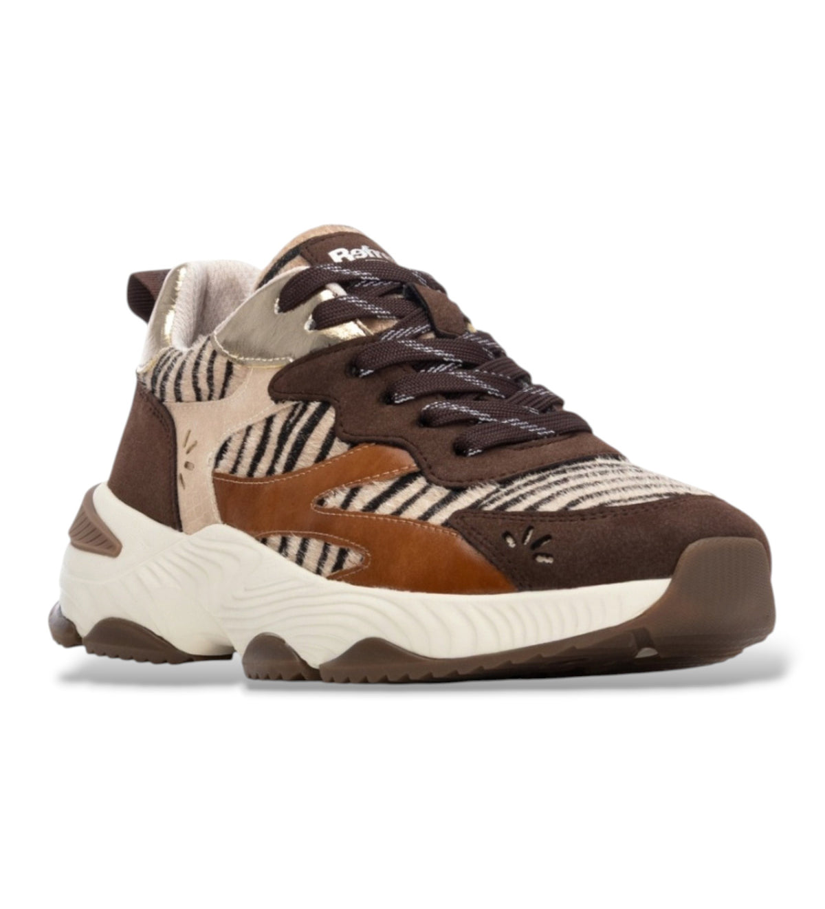 Refresh 176121 Camel Trainers