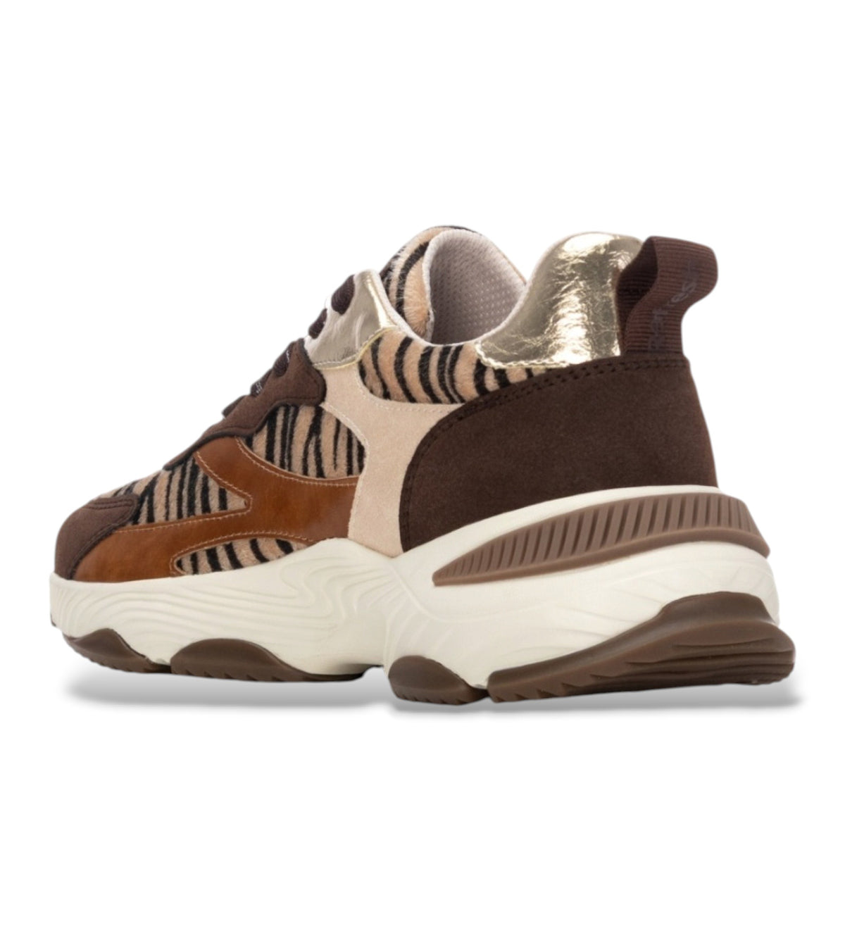 Refresh 176121 Camel Trainers