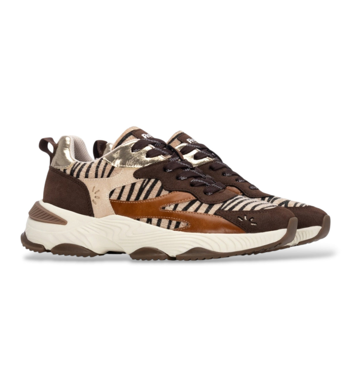 Refresh 176121 Camel Trainers