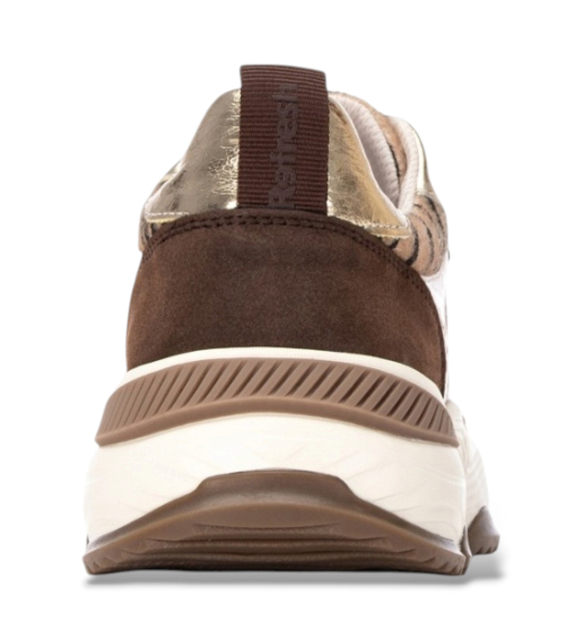 Refresh 176121 Camel Trainers